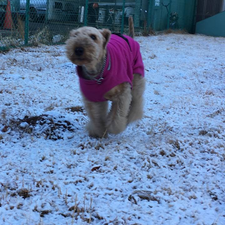 36fa9c82 d05d 44fa 8338 023a571130b0 1549014755253