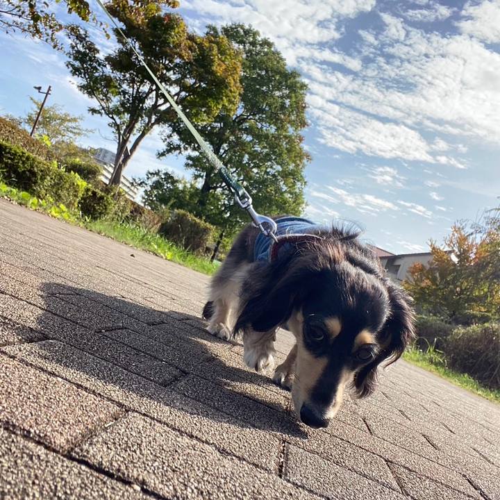 36fb082d c734 4ec2 9309 0a64c19d0890 1760748409771