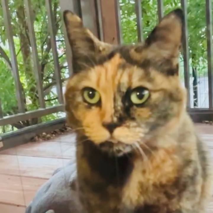 36fb217a 73a0 4acc 9a99 07483515ced0 1733304610904