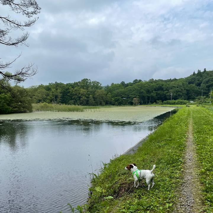 36fb3d02 5f43 43ab 9da8 3a974495ae11 1624877078909