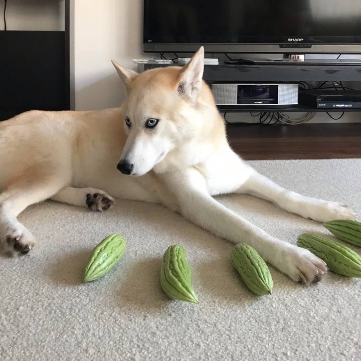 36fb57a7 7d78 4bfd a4d6 925a109bb57f 1692843313560