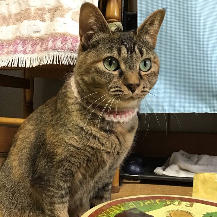 36fba216 bdd4 4393 b18f 3d48ee02b338 1654764440510