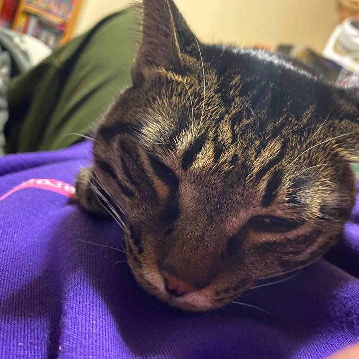 36fbab1a 578e 4510 8cee 51f45760846c 1606923373640