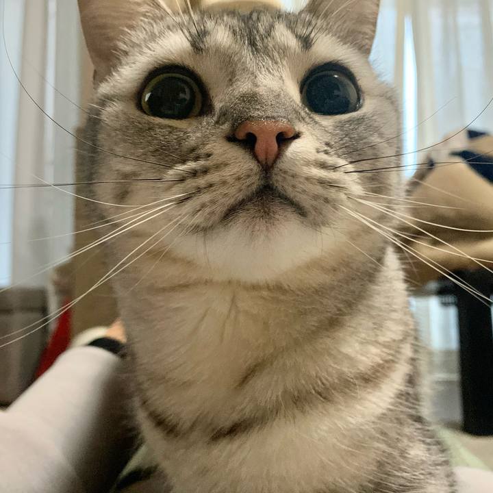 36fc4dee 3875 4501 b403 a551e4473377 1615719146627