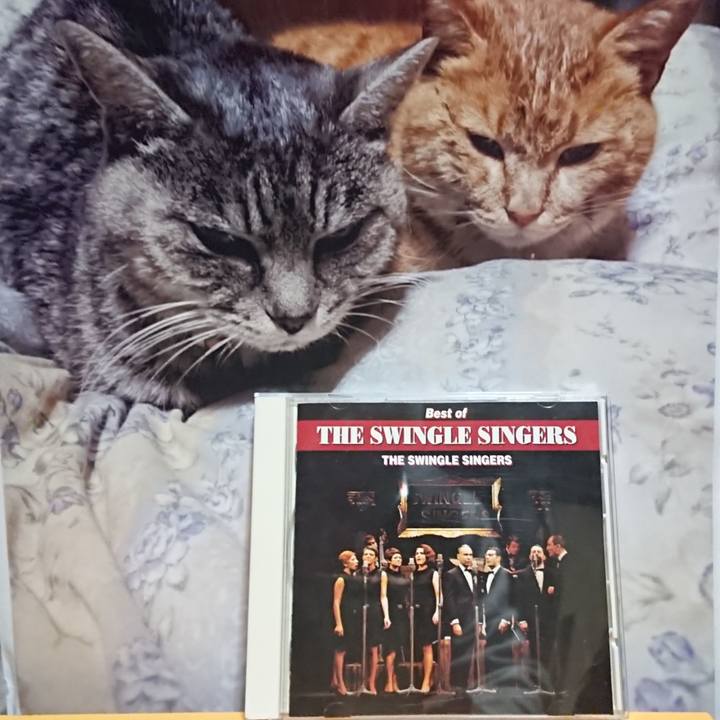 36fc51d8 f8c0 44ac a6a4 f49f8885b671 1617788787104