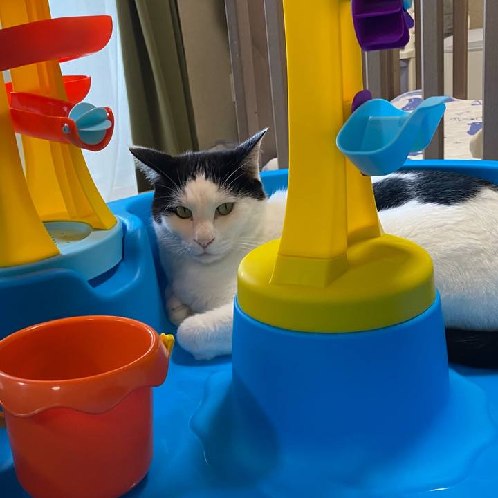 36fc7788 f639 46d8 816f c676b1cd4fab 1628585062388