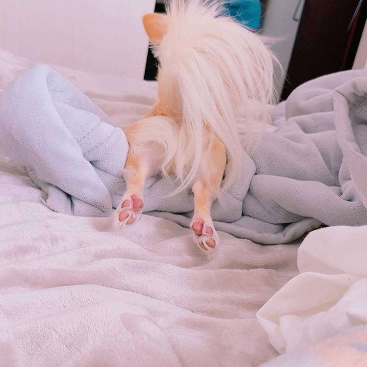 36fd0134 f116 4e36 bd83 f1acf6efaa8a 1702725044352