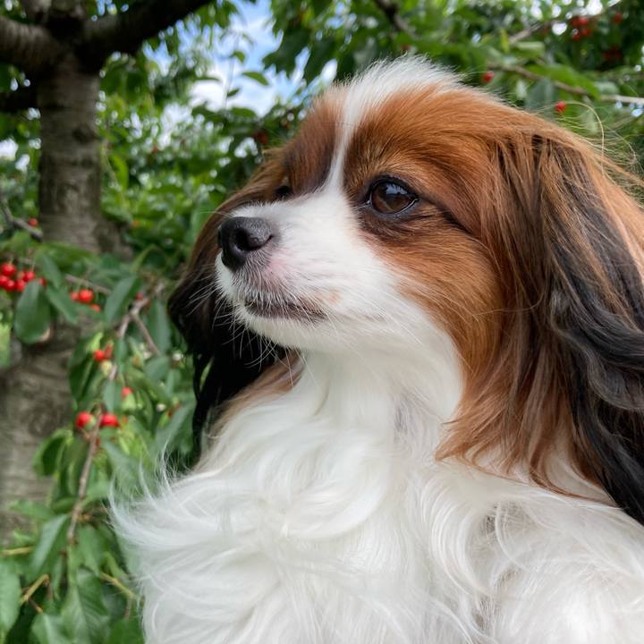 36fd1a9f c0ec 43a0 871f d9e80433f0be 1688288752123