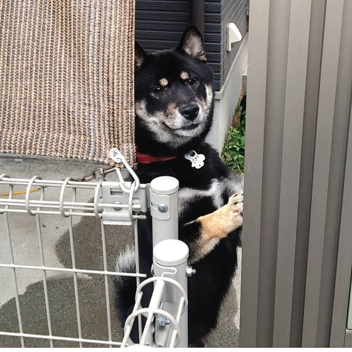 36fd1cde ae41 47b0 bbaa aa753593d7ba 1527053685214