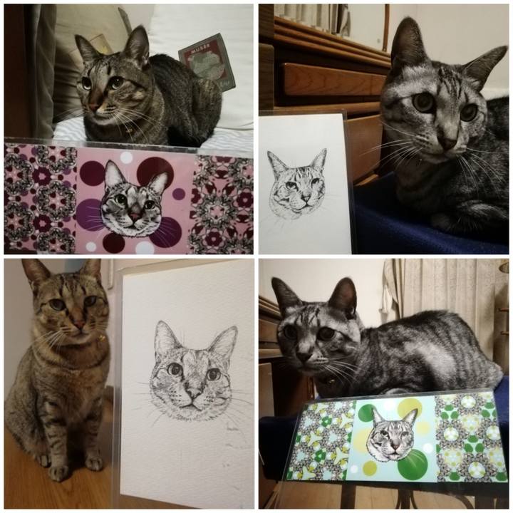 36fd254b 0a38 485f 84bf 4846cf40a559 1668262985351