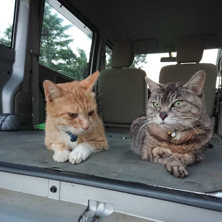 36fd4534 d35f 421b b605 c80bbdcd2a8e 1559814985643