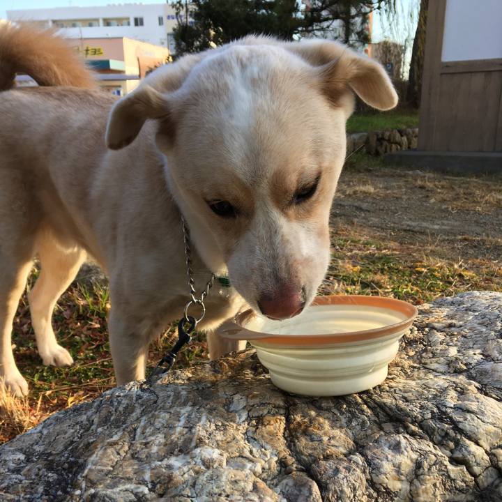 36fd487a 57a3 41a9 81b7 e9faa4945c04 1514258741110