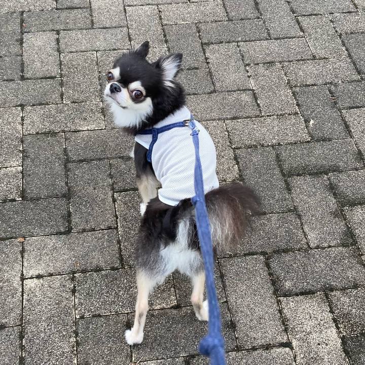 36fd8aaa 138b 49c0 a992 bee163bbdecb 1693112833902