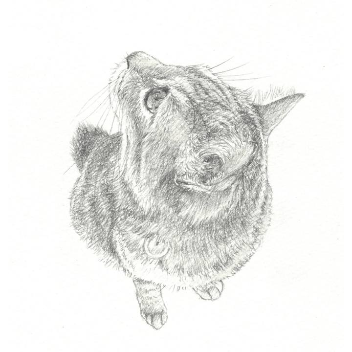 36fd9f55 5b96 4f64 bda9 b7a9924dd9f9 1554128814280