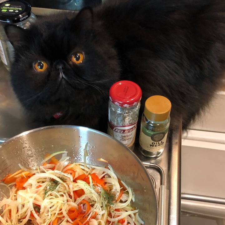 36fdf669 464d 40a2 99a5 6c30c5645313 1545052762190