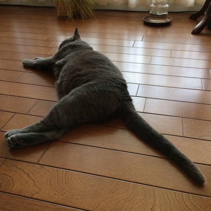 36fdff91 057c 41bb 8fa1 db0c4ee31242 1530567177439