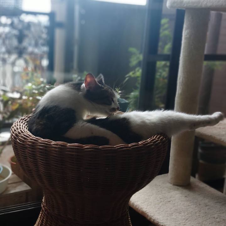 36fe0499 3317 4902 a6b5 9da100d425eb 1633232921388