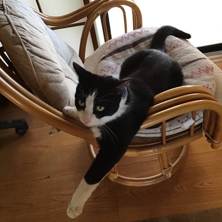 36fe1913 b494 488a 82e9 e3259ce43c92 1691671421151