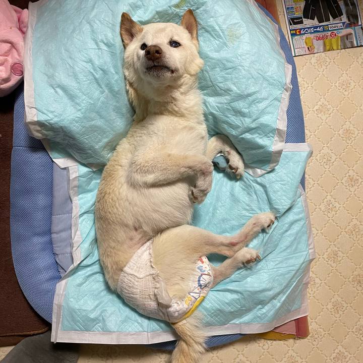 36fe1d77 f108 4723 be0d bd9af5b0558f 1678800060350