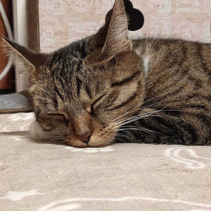 36fe2d2c 15eb 46c3 8324 12310b49e2df 1666787885491