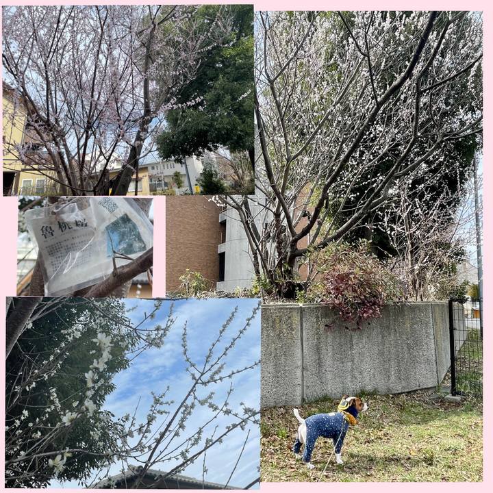 36fe392c a46f 4069 bc38 6758ed8f7e9c 1648465994515