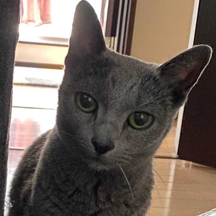 36fe39f7 e594 478e 9f6b 979740d29bd2 1586052339377