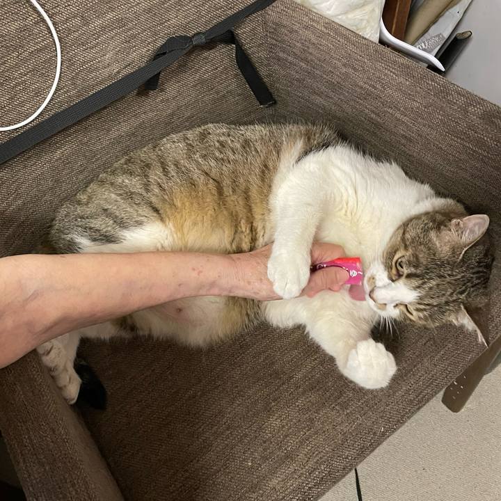 36fe70c9 f3fc 4f08 a60b 3b34b8da787e 1751011109811