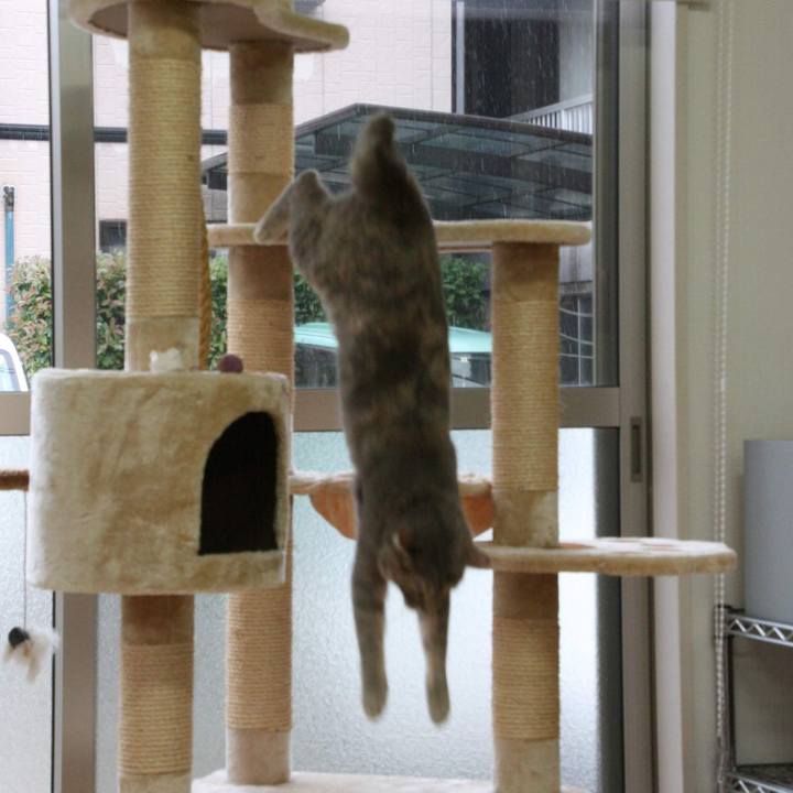 36fe924d 5826 4320 be78 7305961b7cf9 1530259545179