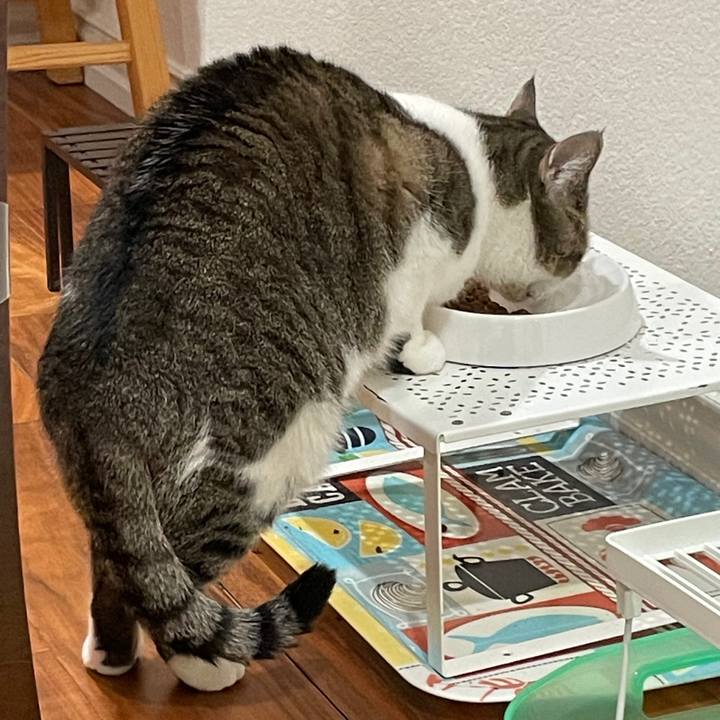 36fe997a 1149 4c0b b417 1458eda2ebfe 1769273160221