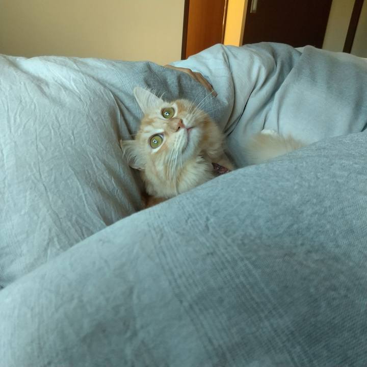 36fe9ebd 33fd 486b a0e7 114a4b6e4863 1634687252737