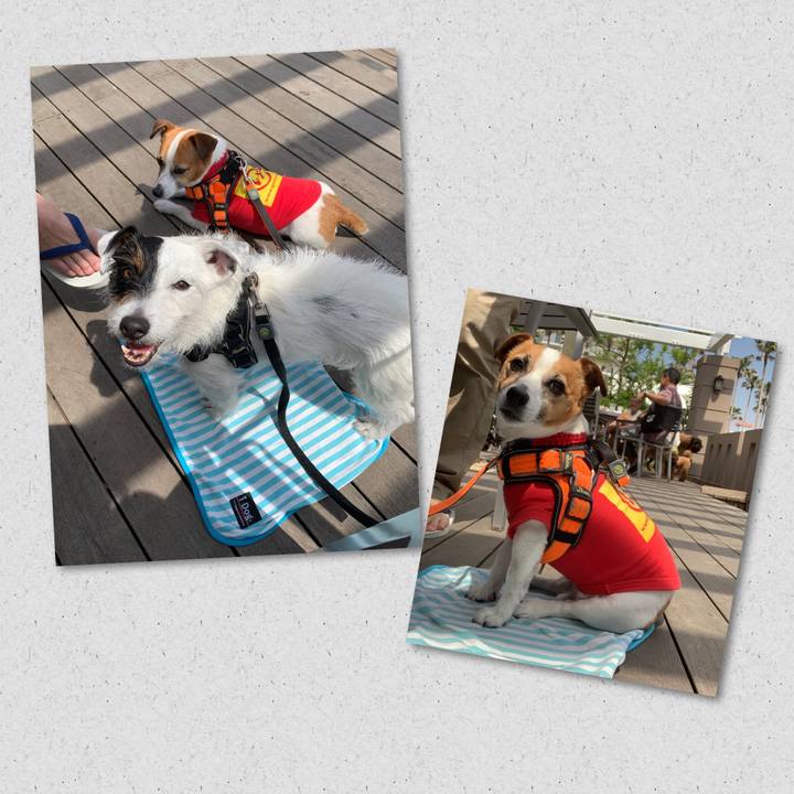 36fe9f69 b301 4b96 bbf3 8c71b113386b 1557540908751