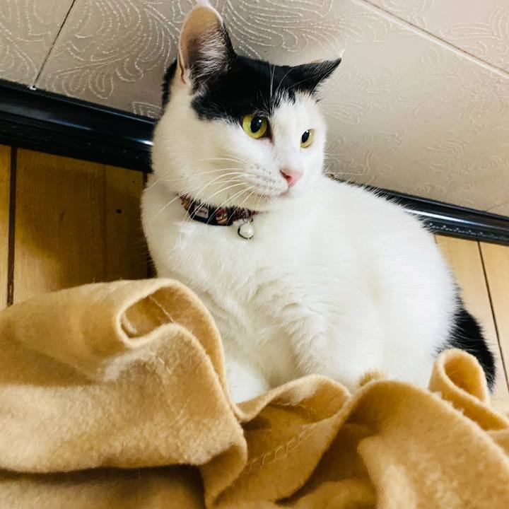 36febfed 5dd2 4eb8 825c 16c7101696b6 1663768455521