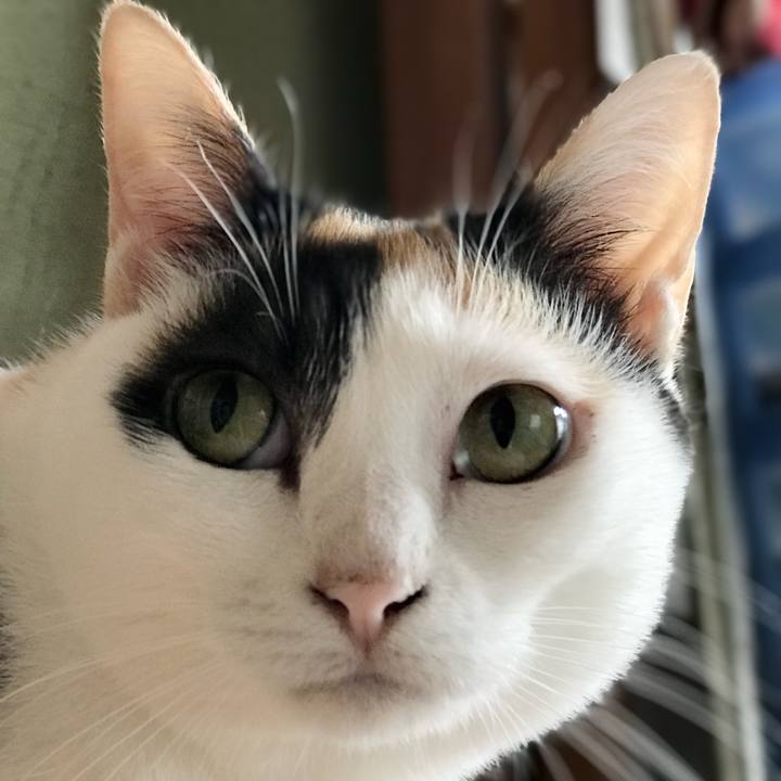 36fec010 d88d 48c7 b567 2b87c51d9f47 1537626251161