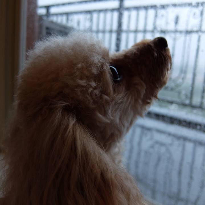 36fed77d 2d6f 4fbe b422 4b193ea6e3a3 1530788079936