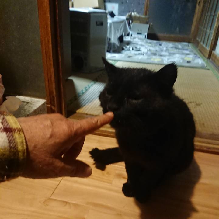 36ff1e05 a568 45ab a4e8 bfb437216ff2 1621342592380