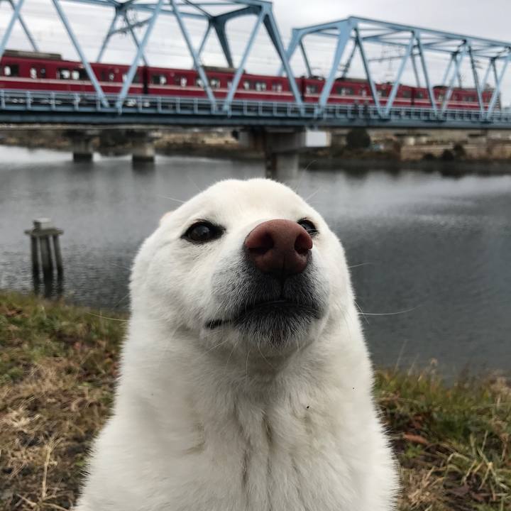 36ff211c 173e 463c 9fe7 64030ae22d37 1514681876295