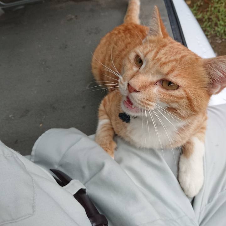 36ff359e 2e85 4ea8 8afb 753a36eca57f 1566984567995