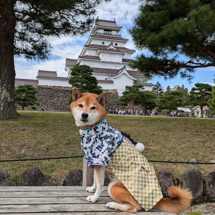 36ff9954 a73b 4e5f 955f 2a218af2a2b5 1730458869847