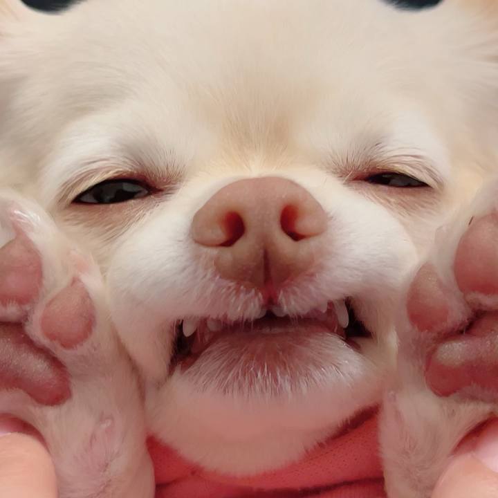 36ffb680 0d78 4163 9f3b d81741da2e68 1701937130414