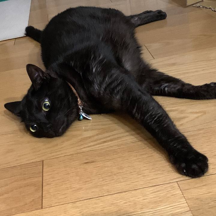 36ffbfb8 69c4 495d a2b4 b3663330a17c 1585317941003