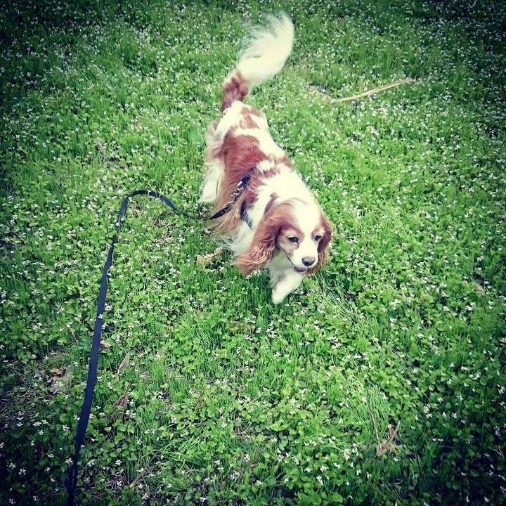 36ffe170 93d2 4572 9ad3 0d512831d1a7 1525779566683