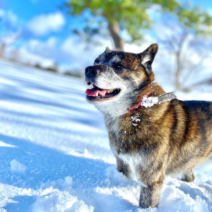 37000103 930d 4c13 b8a6 942aa2835f8e 1642747740108