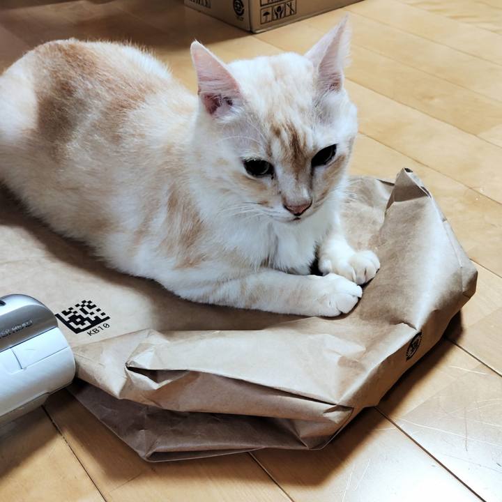 3700144d 4be0 4da5 b590 84aa707748f4 1757111412122