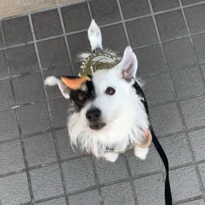 370096d7 ee72 439c 8ee0 39ab1140cb08 1713058291340