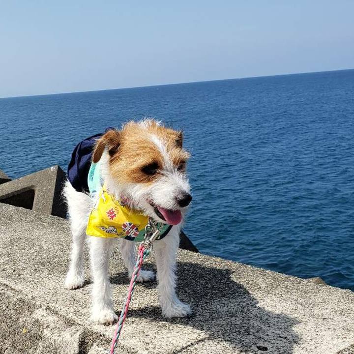 3700b6e1 2e4a 4c0c a230 7aa5e6c0d284 1598150691228