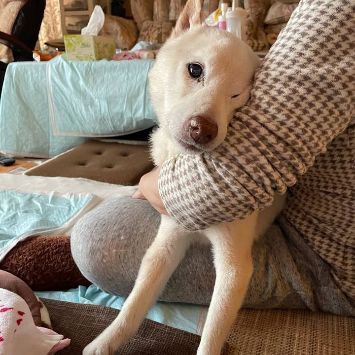 3700cdee da7a 4d34 9e01 0f0956dfe75e 1674470450527