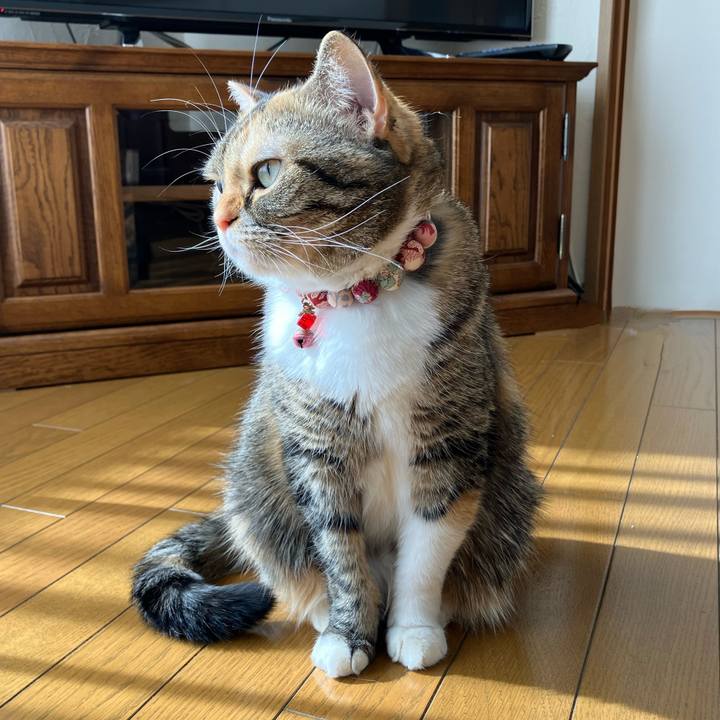 3700ce0e 6490 4bf4 8b19 c94f8ae40c99 1761625415277