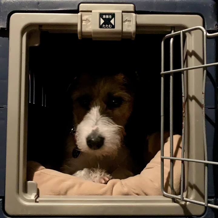 3700f398 14ef 48de b200 3f38be272c83 1620192857664