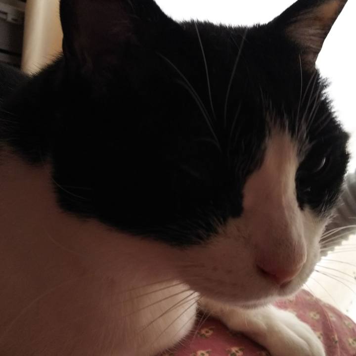 3701339b fc19 41c4 9fff f0a6b5e947d5 1553302232994