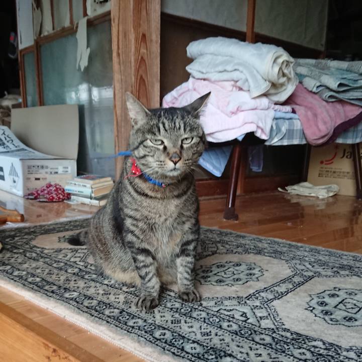 37013574 a744 4116 9416 2f2230de1b36 1657057346710